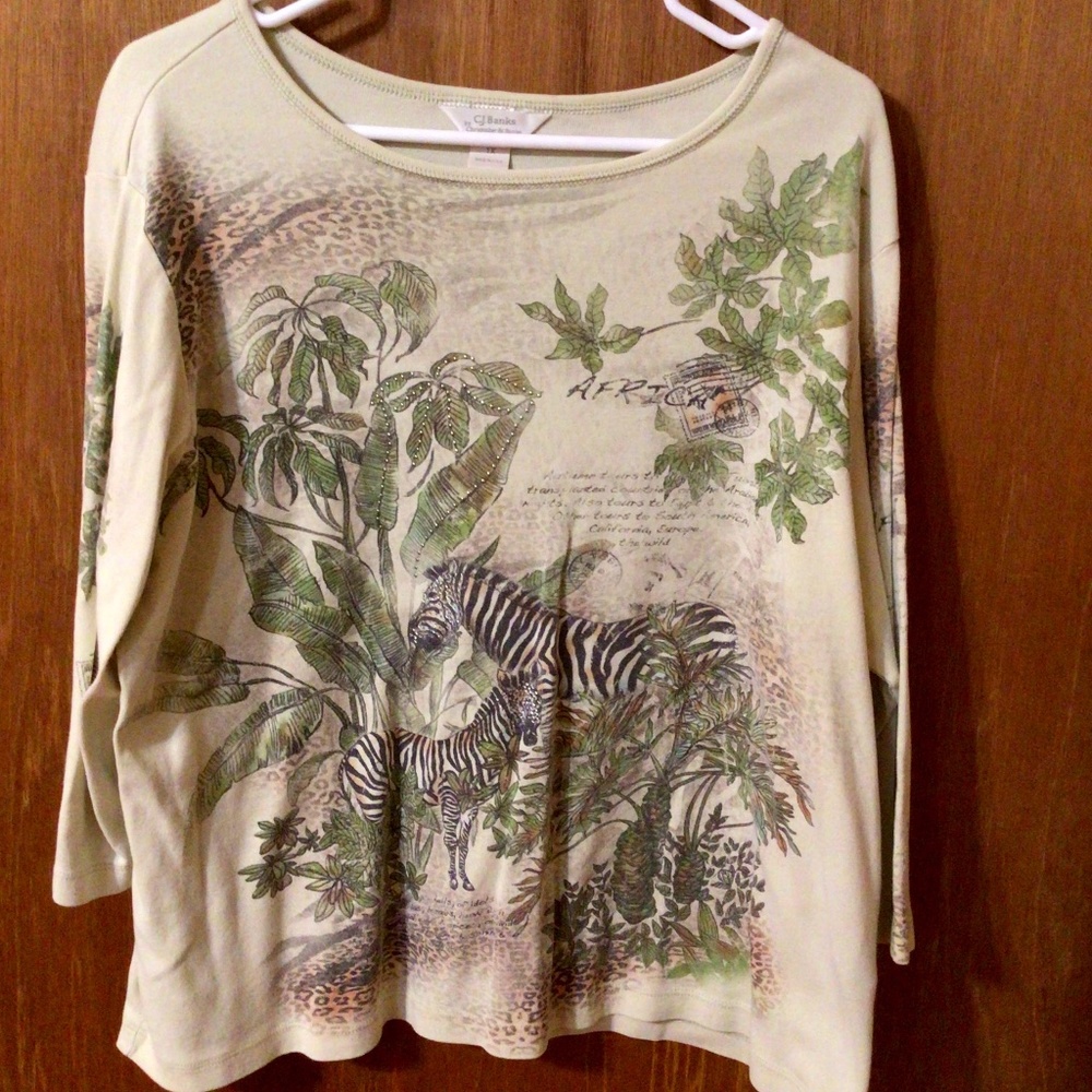 CJ Banks Africa Top